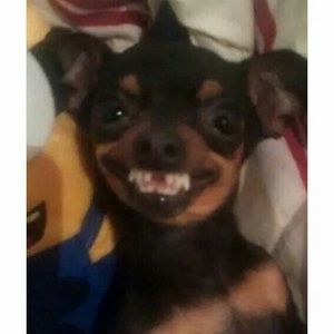 Meet your Posher, Kaleb